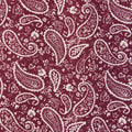 Gillian Shirred Bodice Dress - Maroon Paisley Print