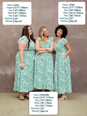 Susan Maxi Dress - White & Green Linear Print