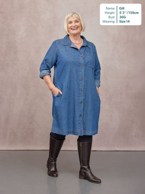 Ava Long Sleeve Denim Shirt Dress - Blue